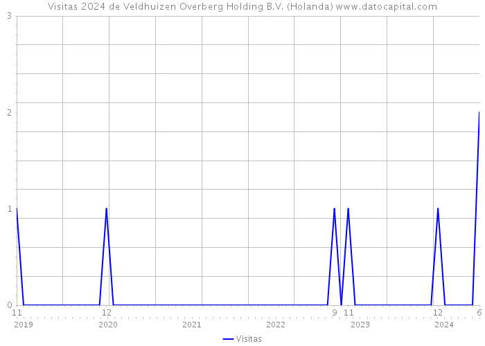 Visitas 2024 de Veldhuizen Overberg Holding B.V. (Holanda) 