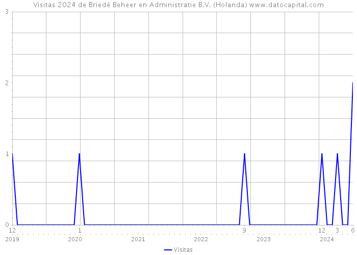 Visitas 2024 de Briedé Beheer en Administratie B.V. (Holanda) 