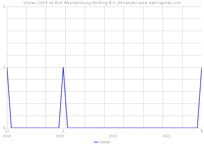 Visitas 2024 de Erik Weerdenburg Holding B.V. (Holanda) 