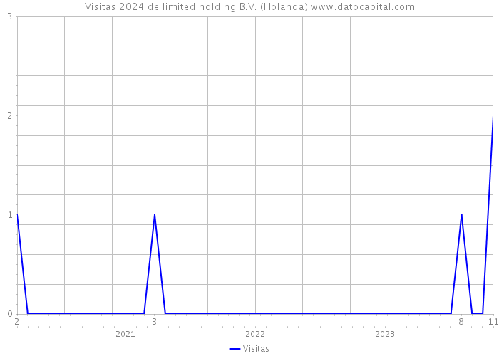 Visitas 2024 de limited holding B.V. (Holanda) 