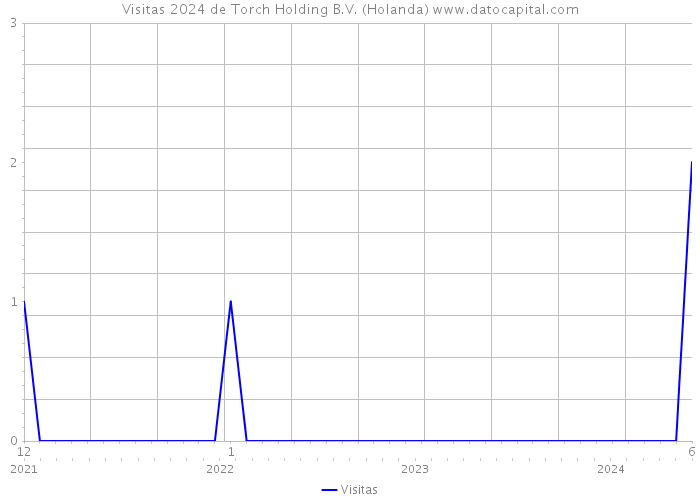 Visitas 2024 de Torch Holding B.V. (Holanda) 