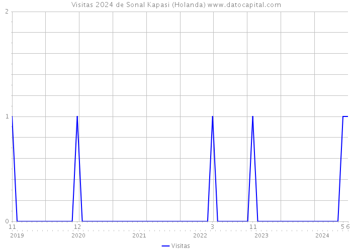 Visitas 2024 de Sonal Kapasi (Holanda) 