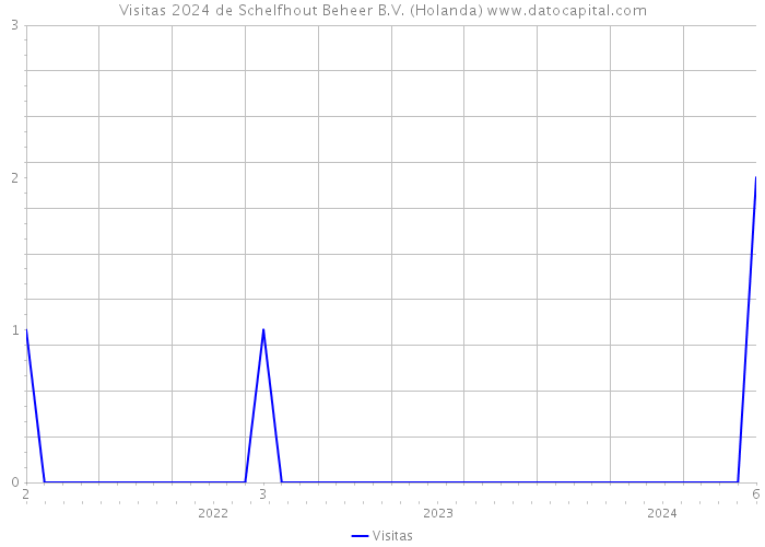 Visitas 2024 de Schelfhout Beheer B.V. (Holanda) 