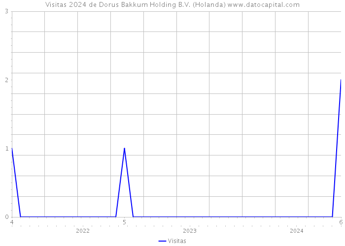 Visitas 2024 de Dorus Bakkum Holding B.V. (Holanda) 