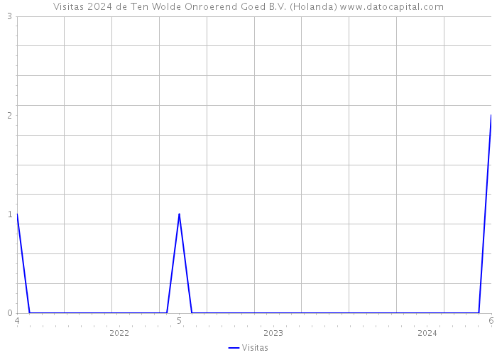 Visitas 2024 de Ten Wolde Onroerend Goed B.V. (Holanda) 