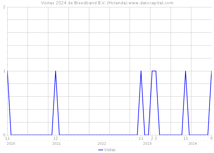 Visitas 2024 de Breedband B.V. (Holanda) 