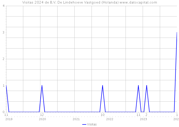 Visitas 2024 de B.V. De Lindehoeve Vastgoed (Holanda) 