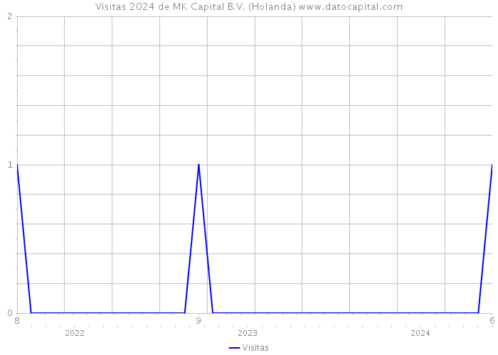 Visitas 2024 de MK Capital B.V. (Holanda) 