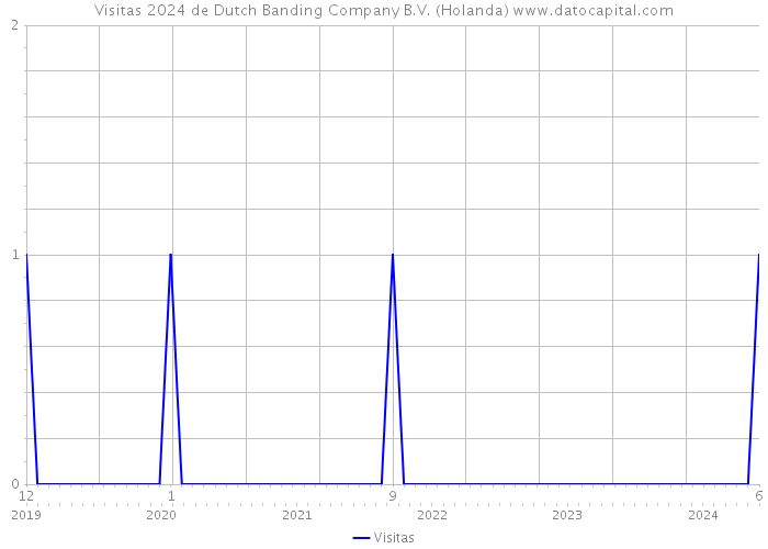 Visitas 2024 de Dutch Banding Company B.V. (Holanda) 