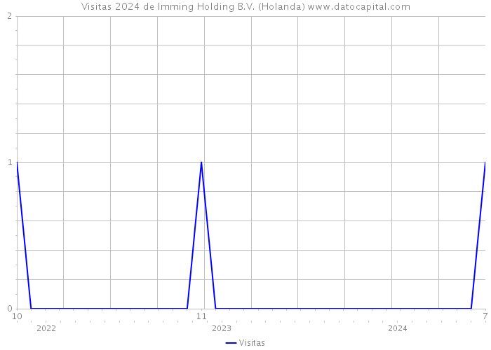 Visitas 2024 de Imming Holding B.V. (Holanda) 