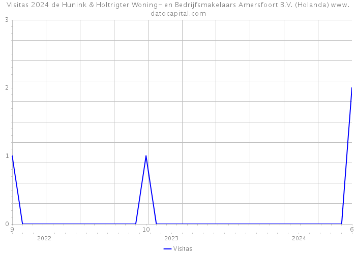 Visitas 2024 de Hunink & Holtrigter Woning- en Bedrijfsmakelaars Amersfoort B.V. (Holanda) 