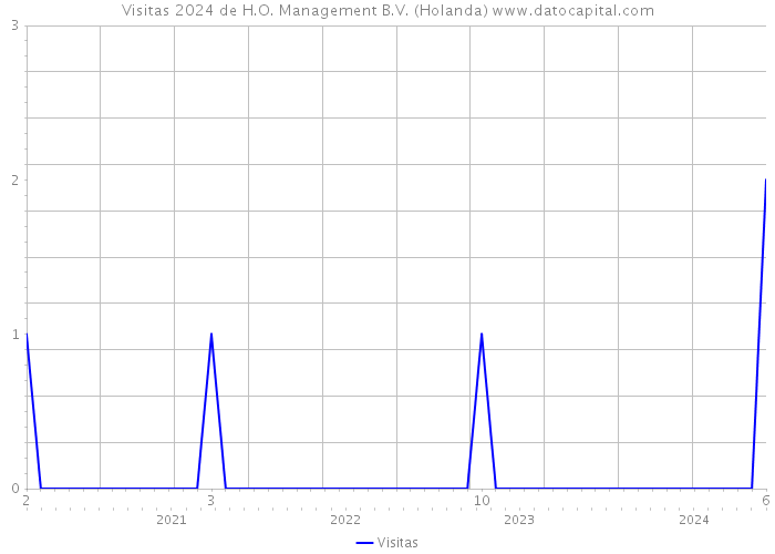 Visitas 2024 de H.O. Management B.V. (Holanda) 