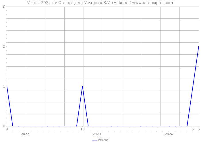 Visitas 2024 de Otto de Jong Vastgoed B.V. (Holanda) 