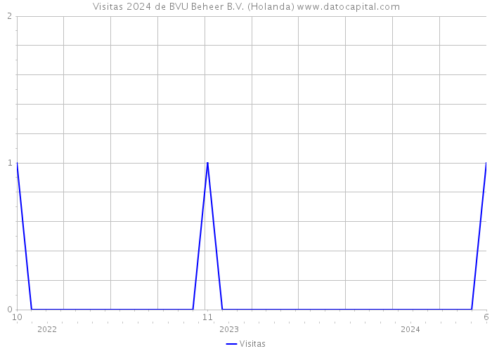 Visitas 2024 de BVU Beheer B.V. (Holanda) 