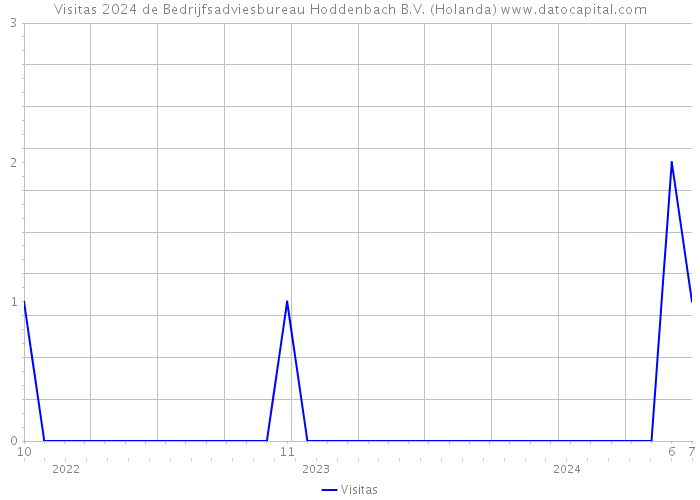 Visitas 2024 de Bedrijfsadviesbureau Hoddenbach B.V. (Holanda) 