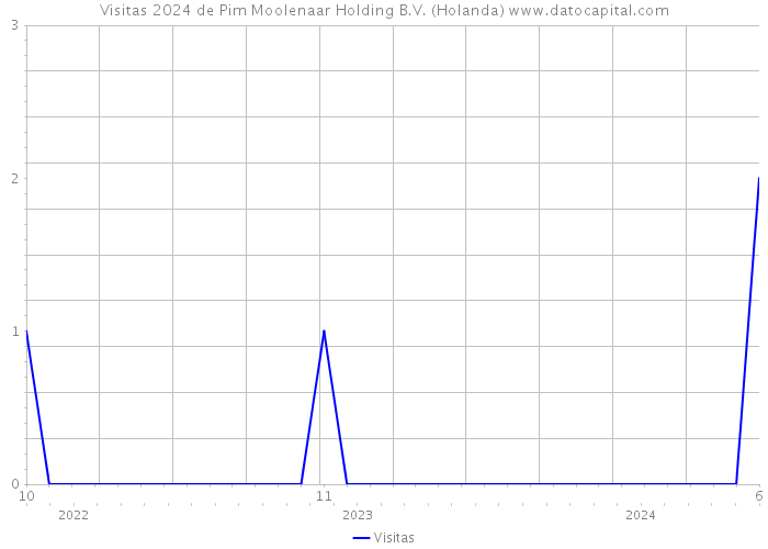 Visitas 2024 de Pim Moolenaar Holding B.V. (Holanda) 