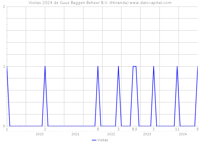 Visitas 2024 de Guus Baggen Beheer B.V. (Holanda) 