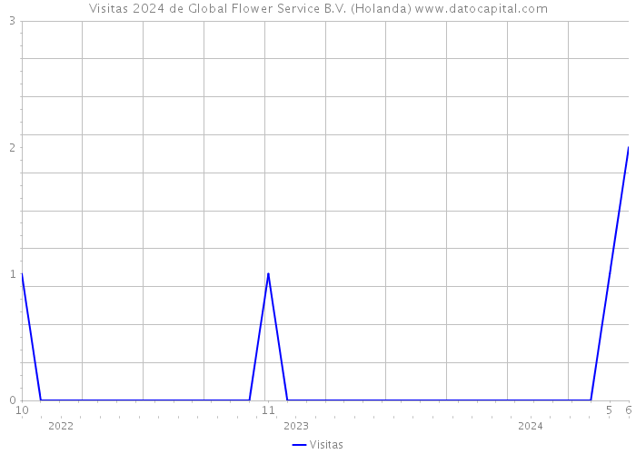 Visitas 2024 de Global Flower Service B.V. (Holanda) 