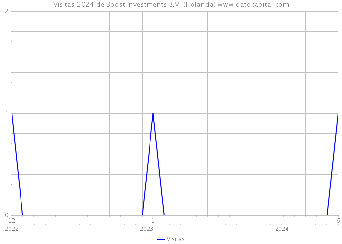 Visitas 2024 de Boost Investments B.V. (Holanda) 