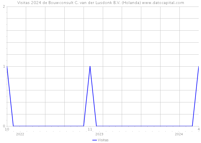 Visitas 2024 de Bouwconsult C. van der Lusdonk B.V. (Holanda) 