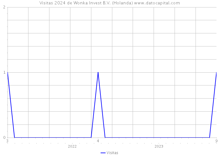 Visitas 2024 de Wonka Invest B.V. (Holanda) 