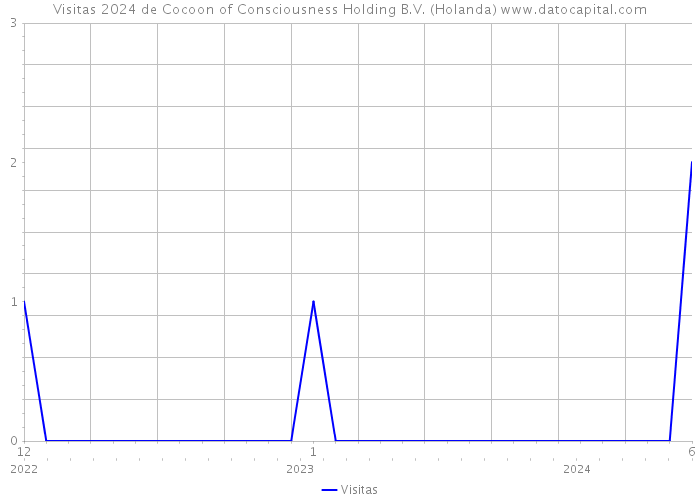 Visitas 2024 de Cocoon of Consciousness Holding B.V. (Holanda) 