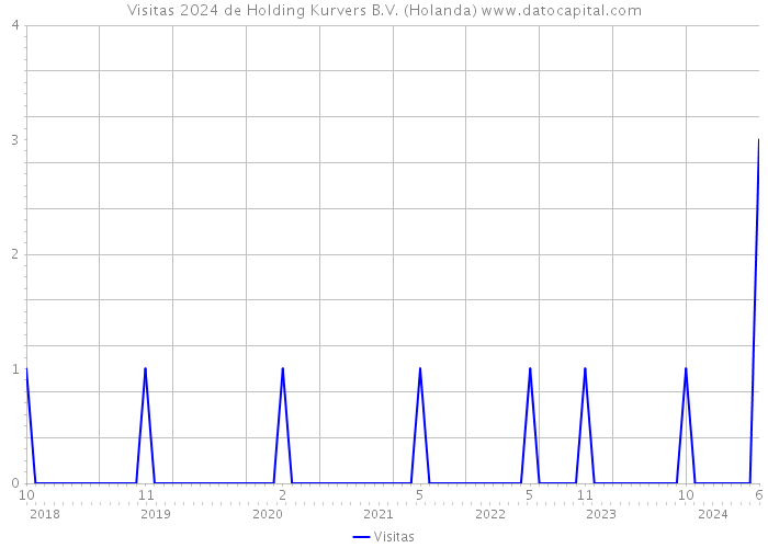 Visitas 2024 de Holding Kurvers B.V. (Holanda) 