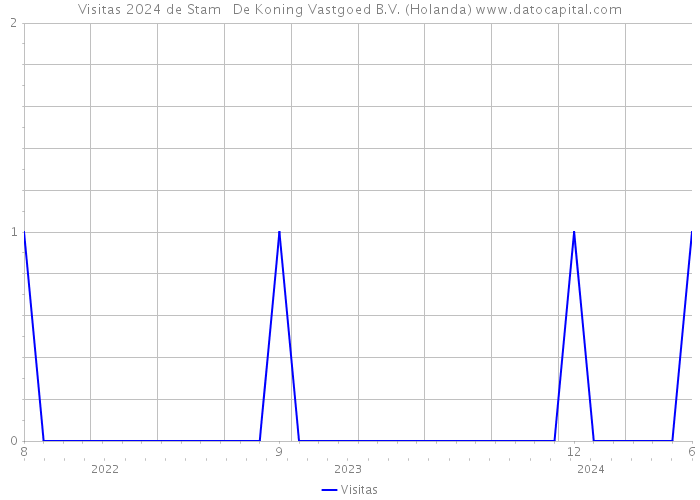 Visitas 2024 de Stam + De Koning Vastgoed B.V. (Holanda) 