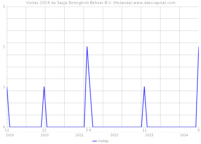 Visitas 2024 de Sasja Strengholt Beheer B.V. (Holanda) 