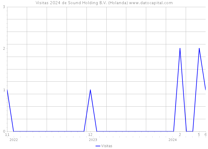 Visitas 2024 de Sound Holding B.V. (Holanda) 