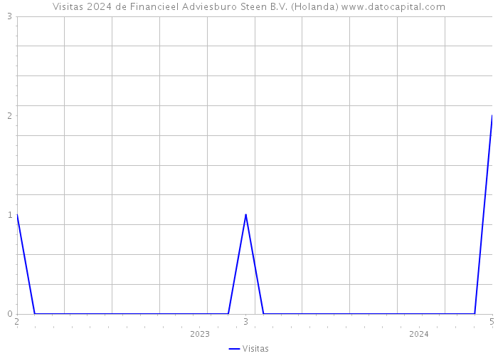 Visitas 2024 de Financieel Adviesburo Steen B.V. (Holanda) 