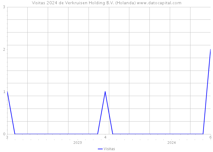 Visitas 2024 de Verkruisen Holding B.V. (Holanda) 