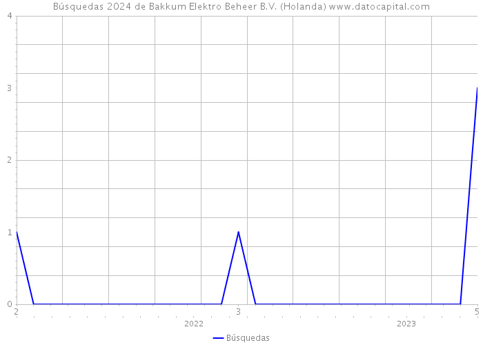 Búsquedas 2024 de Bakkum Elektro Beheer B.V. (Holanda) 