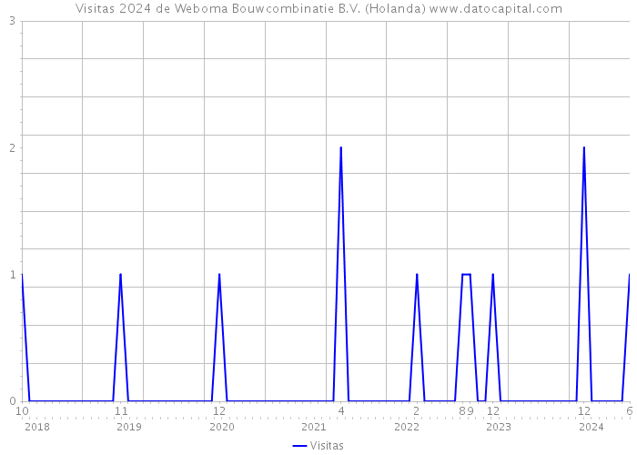 Visitas 2024 de Weboma Bouwcombinatie B.V. (Holanda) 