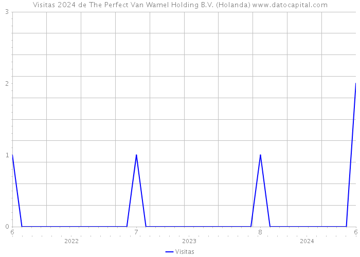 Visitas 2024 de The Perfect Van Wamel Holding B.V. (Holanda) 