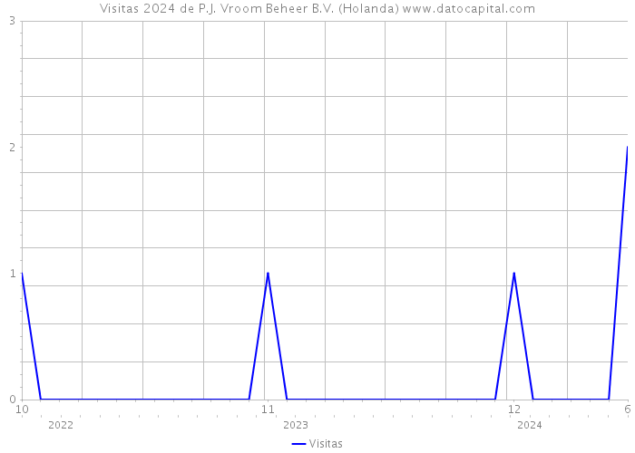 Visitas 2024 de P.J. Vroom Beheer B.V. (Holanda) 