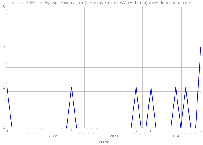 Visitas 2024 de Pegasus Acquisition Company Europe B.V. (Holanda) 