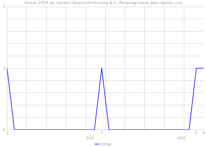Visitas 2024 de Valiant-Steelweld Holding B.V. (Holanda) 