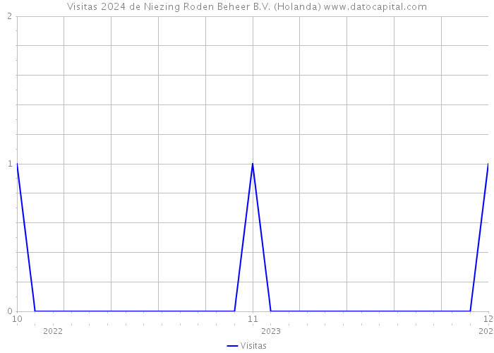 Visitas 2024 de Niezing Roden Beheer B.V. (Holanda) 