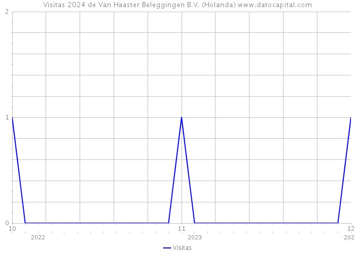 Visitas 2024 de Van Haaster Beleggingen B.V. (Holanda) 