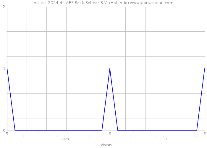 Visitas 2024 de AES Beek Beheer B.V. (Holanda) 