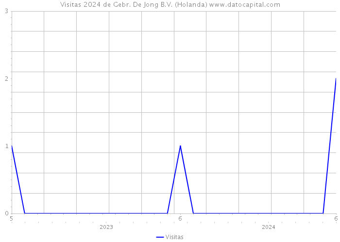 Visitas 2024 de Gebr. De Jong B.V. (Holanda) 