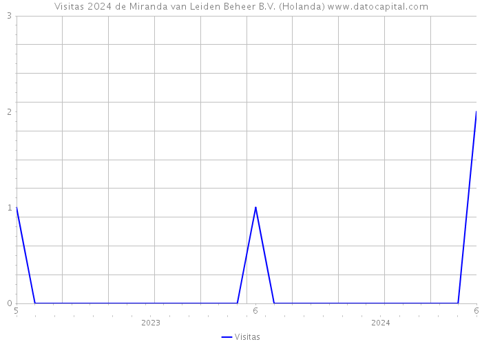 Visitas 2024 de Miranda van Leiden Beheer B.V. (Holanda) 