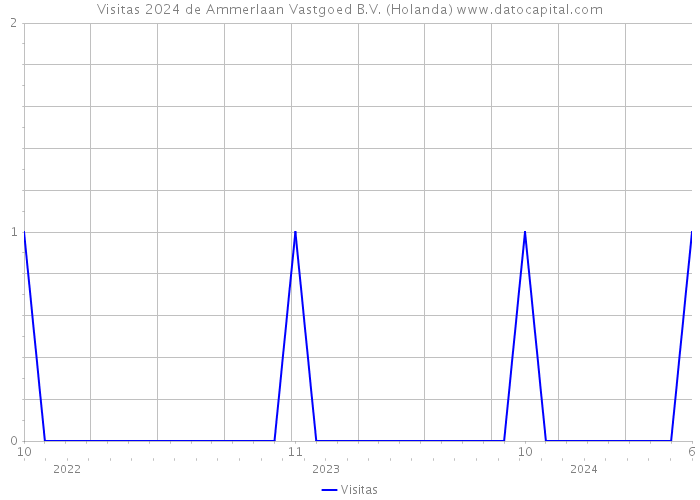 Visitas 2024 de Ammerlaan Vastgoed B.V. (Holanda) 