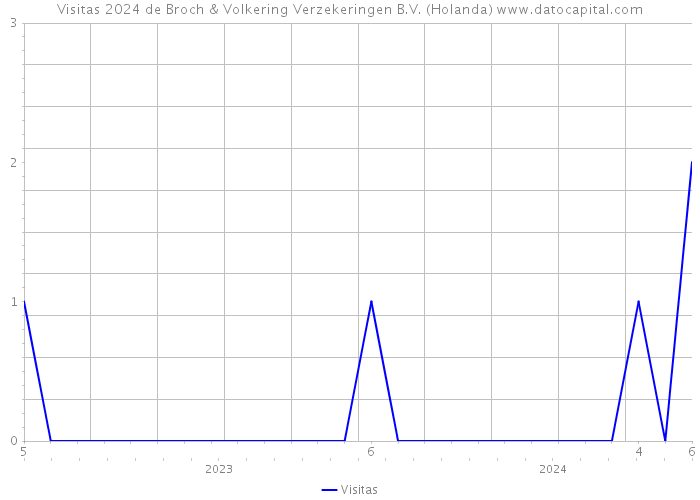 Visitas 2024 de Broch & Volkering Verzekeringen B.V. (Holanda) 