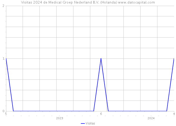 Visitas 2024 de Medical Groep Nederland B.V. (Holanda) 