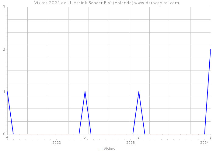 Visitas 2024 de I.I. Assink Beheer B.V. (Holanda) 