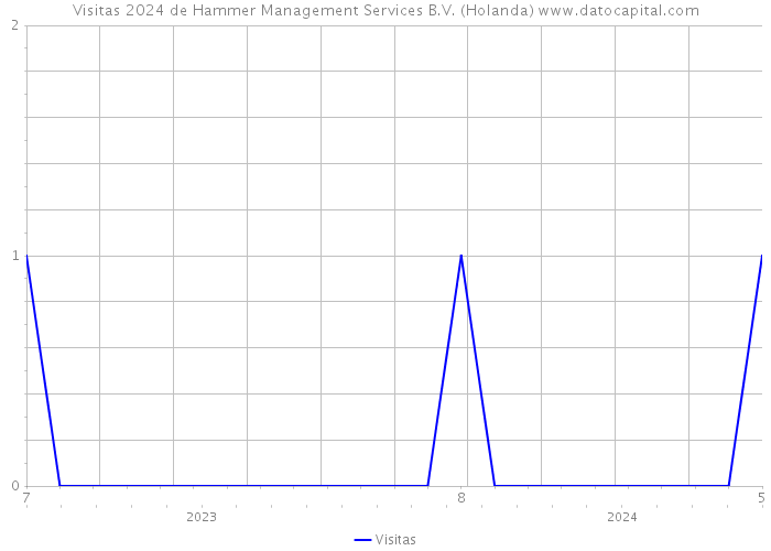 Visitas 2024 de Hammer Management Services B.V. (Holanda) 