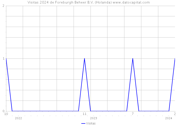 Visitas 2024 de Foreburgh Beheer B.V. (Holanda) 