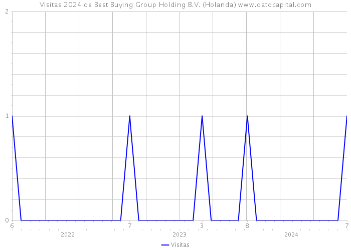 Visitas 2024 de Best Buying Group Holding B.V. (Holanda) 